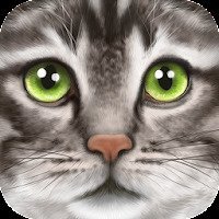 Ultimate Cat Simulator взломанный